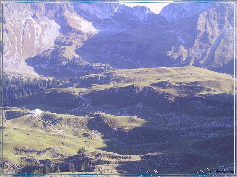 128-2895_IMG